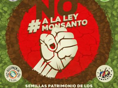 fuera monsanto