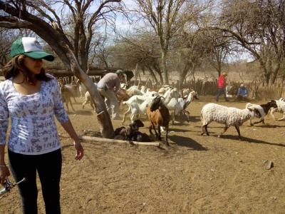 juventud campesina