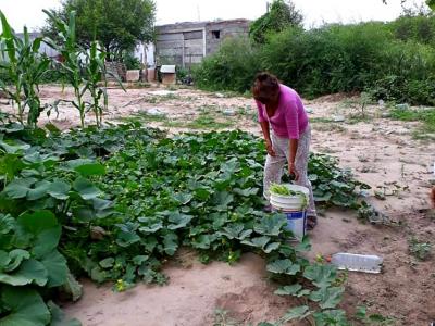 produccion agroecologica