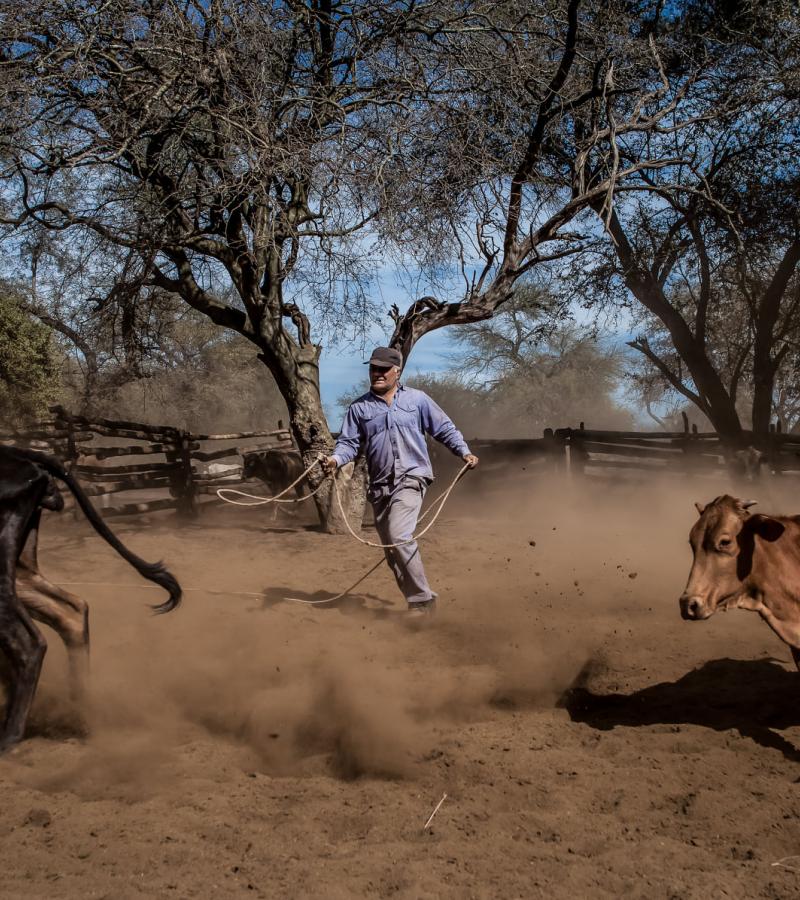 lucha campesina 30 años mocase