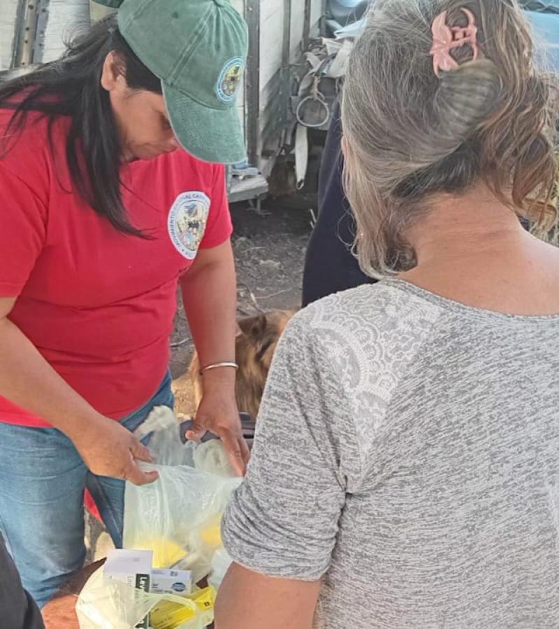 solidaridad inundaciones