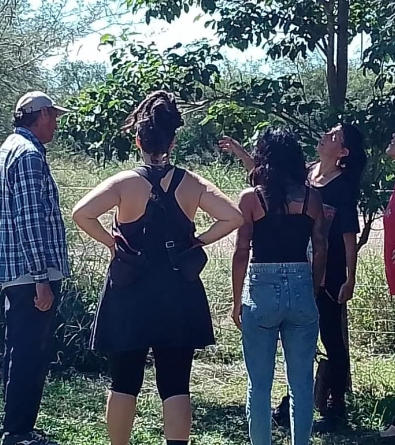 CAMPESINA INDIGENA RADIO CAMPESINA